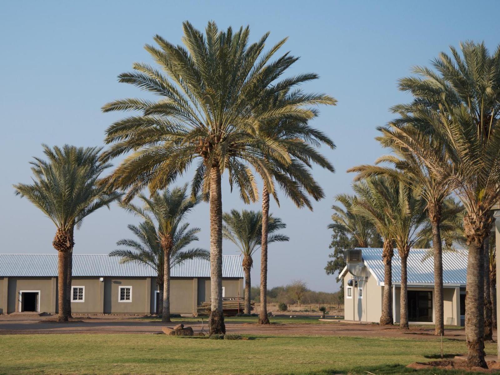 Flying Ostrich Guesthouse & Self-Catering Accommodation Mariental Zewnętrze zdjęcie